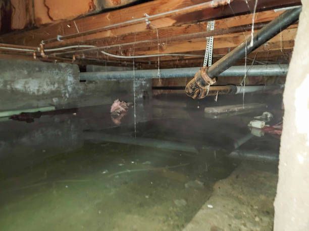 Best Fire Damage Restoration  in North Seekonk, MA