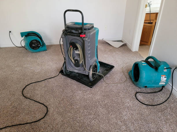 Best Flood damage cleanup  in North Seekonk, MA