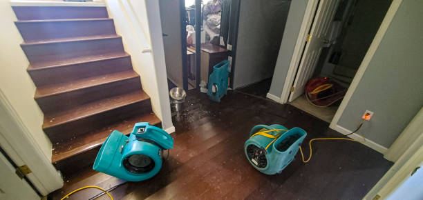 Best Water damage cleanup near me  in North Seekonk, MA