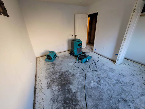 Best Mold removal after water damage  in North Seekonk, MA