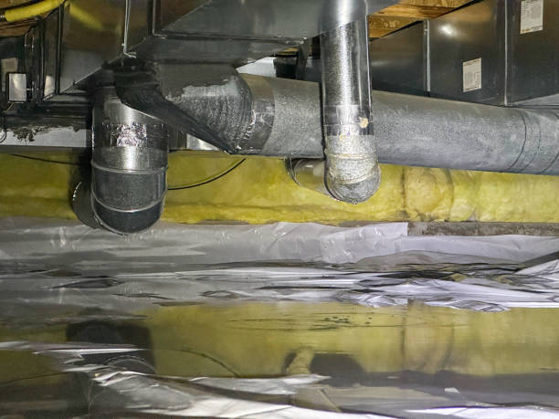 Best Professional water damage repair  in North Seekonk, MA