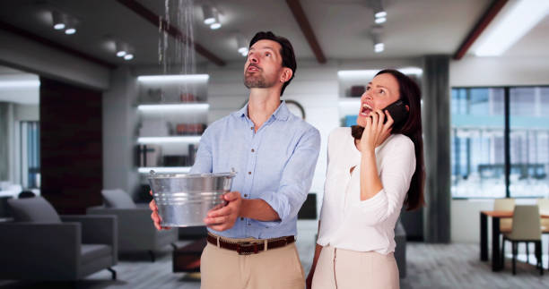 Best Water damage contractors near me  in North Seekonk, MA