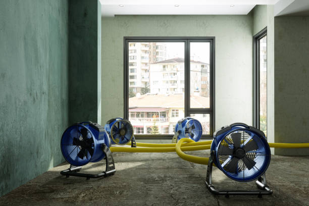 Best Water damage mitigation services  in North Seekonk, MA